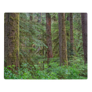Willamette National Forest   Oregon Jigsaw Puzzle
