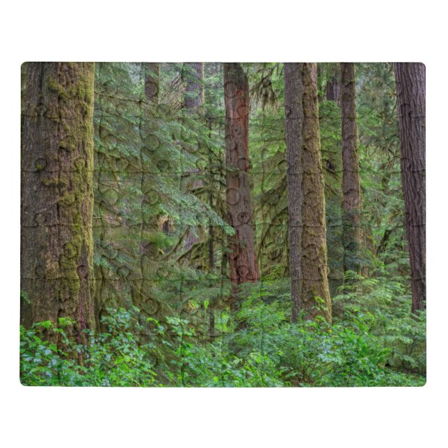 Willamette National Forest | Oregon Jigsaw Puzzle (Puzzle Horizontal)
