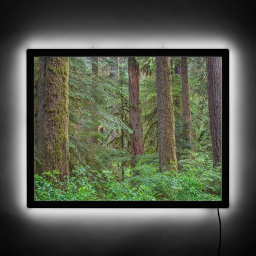 Willamette National Forest  Oregon LED Sign