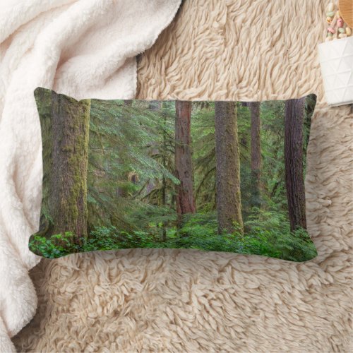 Willamette National Forest  Oregon Lumbar Pillow