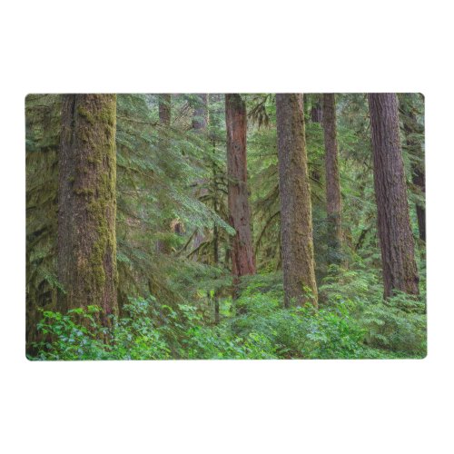 Willamette National Forest  Oregon Placemat
