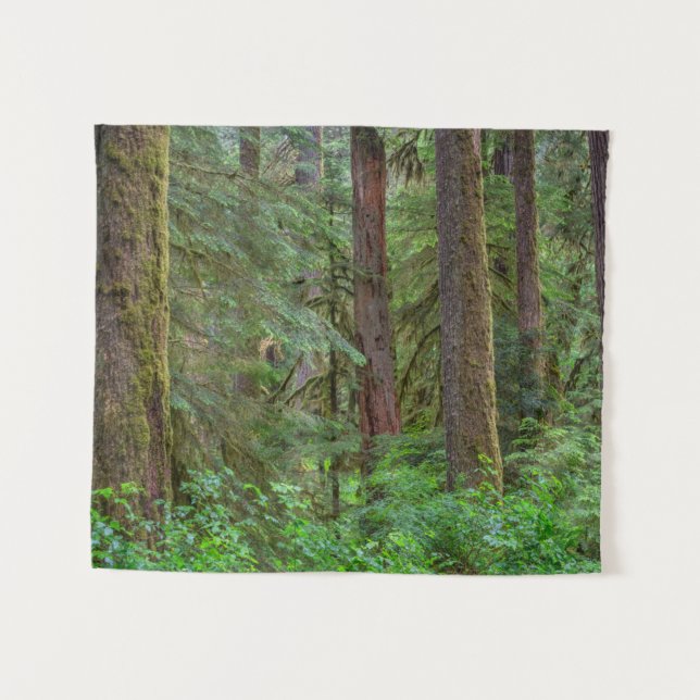 Willamette National Forest | Oregon Tapestry (Front (Horizontal))