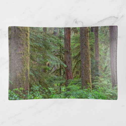 Willamette National Forest  Oregon Trinket Tray