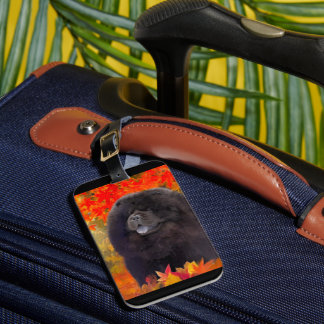 WILLEM luggage tag