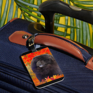 WILLEM luggage tag