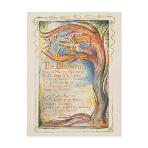 William Blake "The Blossom" Postcard