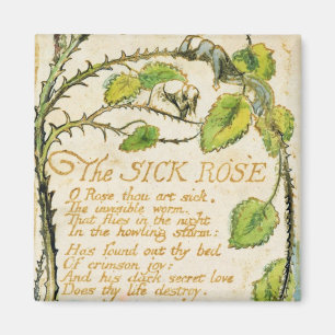 William Blake   The Sick Rose, from Songs of Innoc Magnet