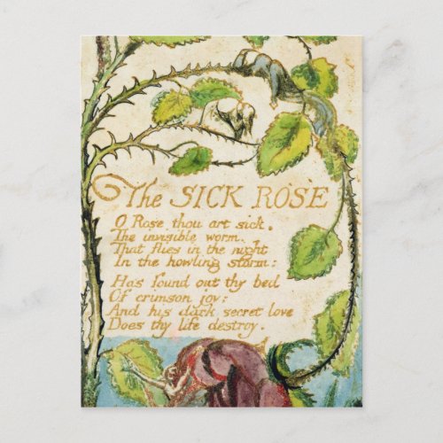 William Blake  The Sick Rose from Songs of Innoc Postcard