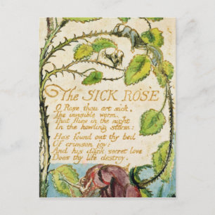 William Blake   The Sick Rose, from Songs of Innoc Postcard