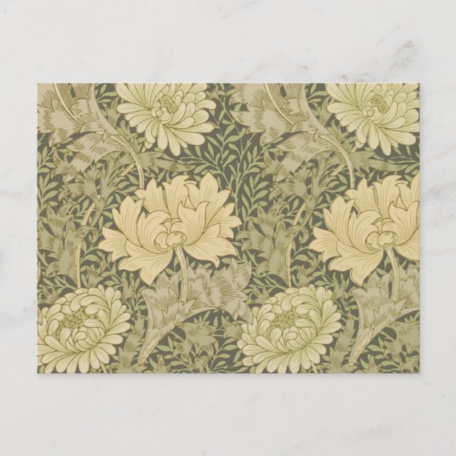 William Morris Chrysanthemum Sage Flower Postcard (Front)