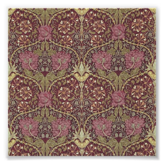 William Morris, Honeysuckle, floral. pattern, art Photo Print (Front)