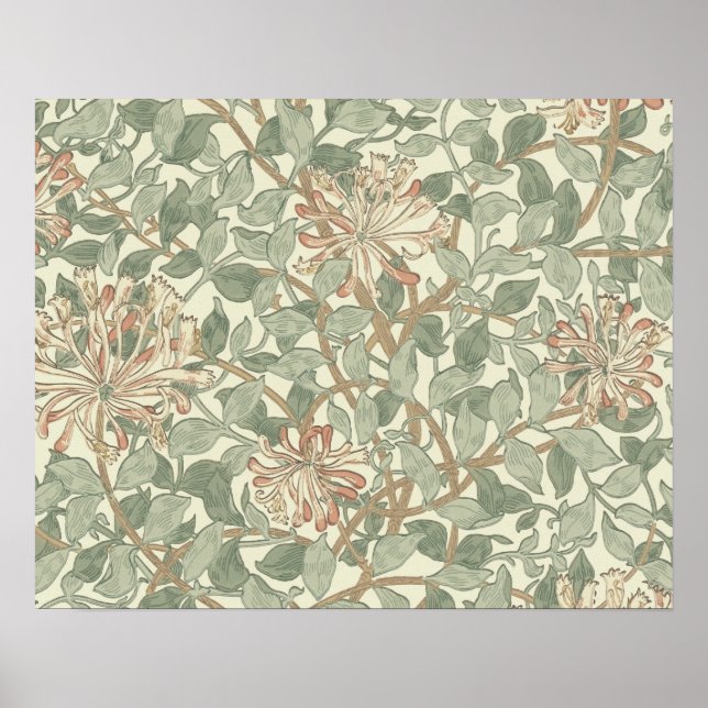 William Morris Honeysuckle Green Floral Poster (Front)