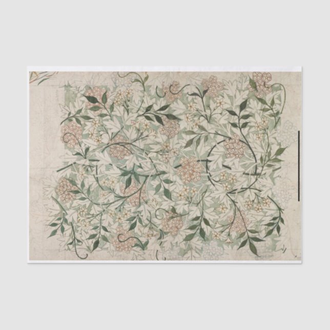 William Morris Jasmine  Tissue Paper (Front)