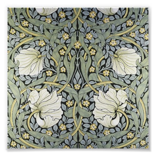 William Morris _ Pimpernel  Pattern Design Photo Print