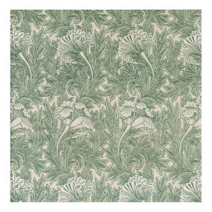 William Morris Sage Green Tulip Pattern: Vintage Acrylic Print