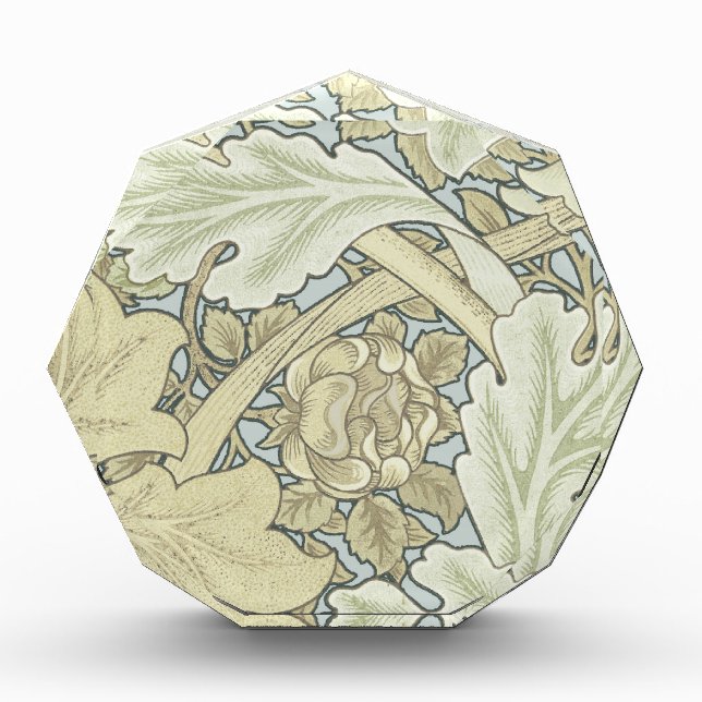William Morris St James Acanthus Wallpaper Award (Front)
