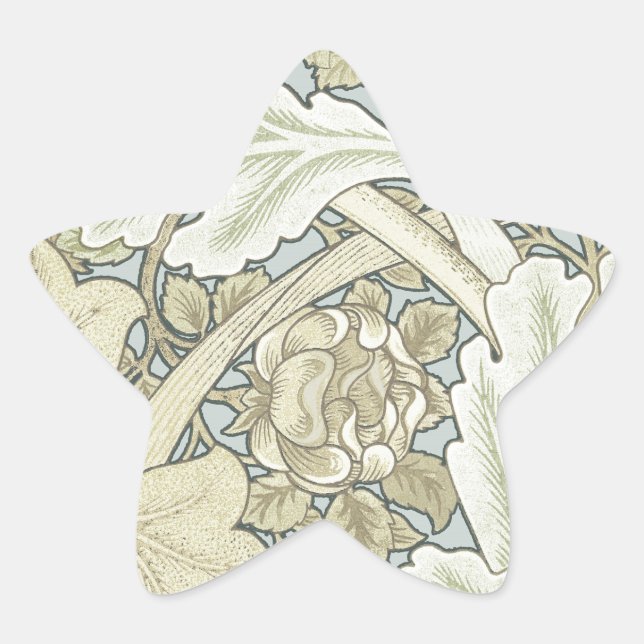 William Morris St James Acanthus Wallpaper Star Sticker (Front)