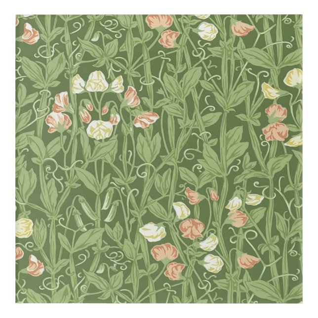 William Morris Sweet Pea Floral Design Acrylic Print (Front)