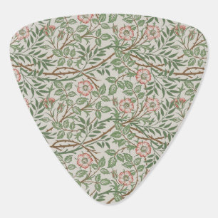 William Morris Sweetbriar Floral Art Nouveau Guitar Pick