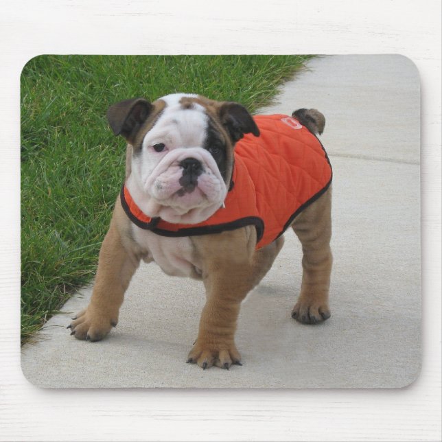William the English Bulldog Puppy Mouse Pad (Front)