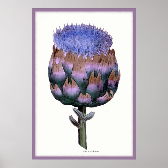William Woodville Series ~ Scotch Thistle Poster (Front)
