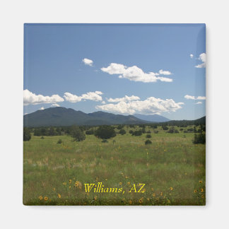 Williams AZ Magnet