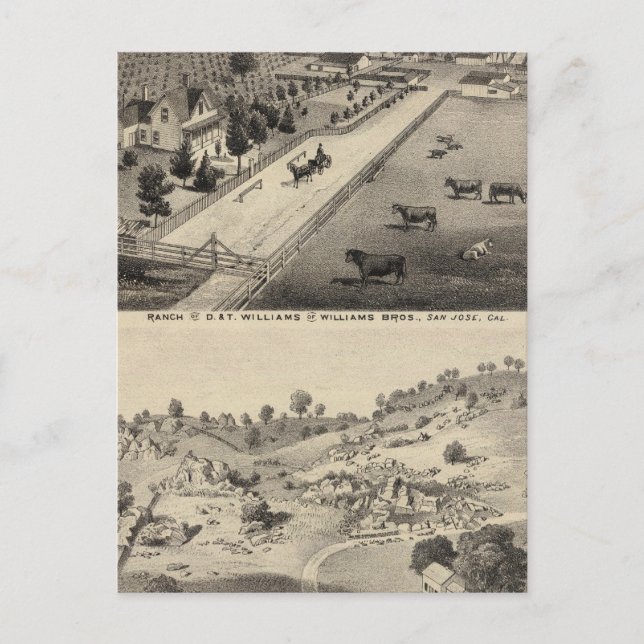 Williams Ranch, Goodrich Quarry Postcard (Front)