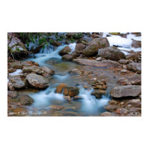 Williams River Tea Creek Area