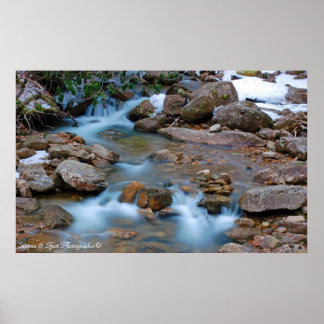 Williams River Tea Creek Area Poster