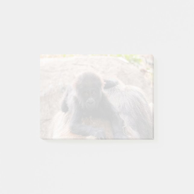 Willie B III at Zoo Atlanta (2023) Post-it Notes (Front)