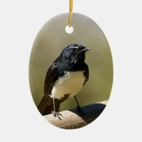 Willie Wagtail Ceramic Ornament