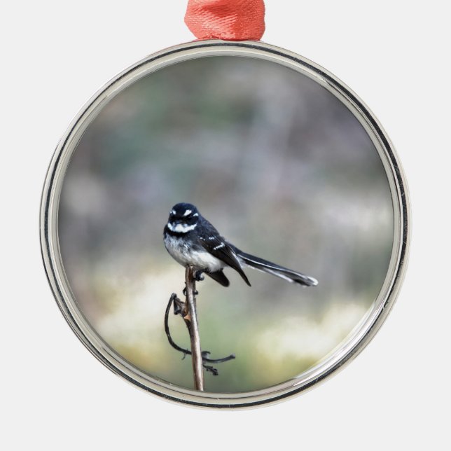 WILLIE WAGTAIL RURAL QUEENSLAND AUSTRALIA METAL ORNAMENT (Front)