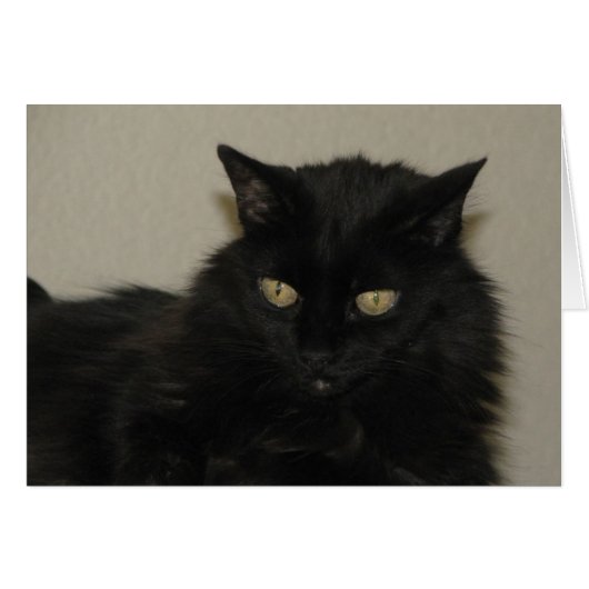 Willow (Front Horizontal)