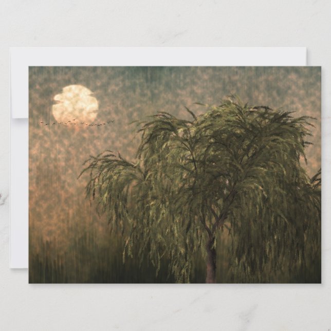 Willow at Sunset (Front)