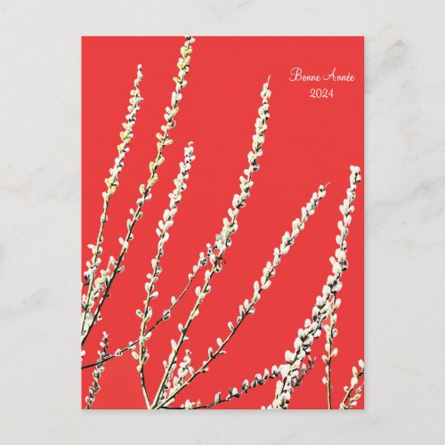 willow buds  bourgeons de saule  chaton postcard