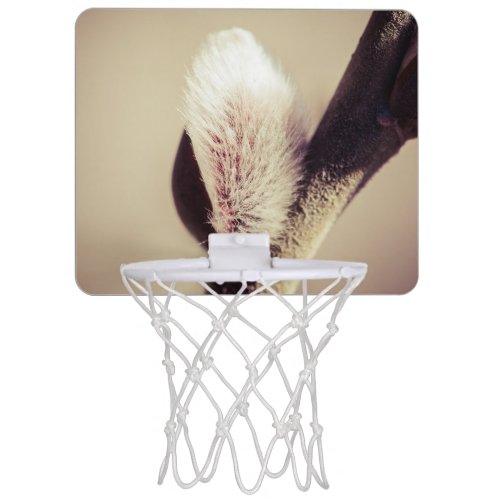 Willow buds _ Thrust Of New Life Mini Basketball Hoop