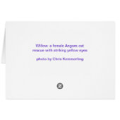 Willow Cards (Back Horizontal)