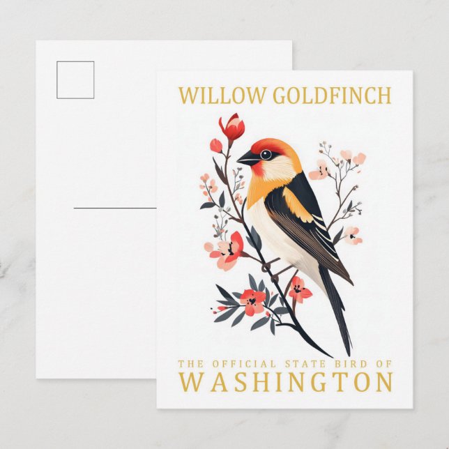 Willow Goldfinch Bird of Washington Travel Postcard (Front/Back)