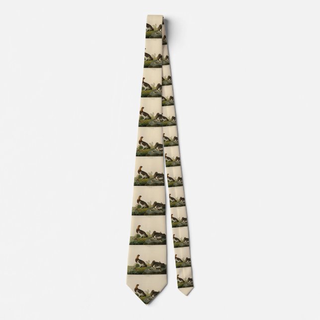 Willow Grous (Grouse) - Audubon's Birds of America Neck Tie (Front)