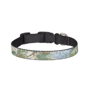 Willow Little Magnolia Wallpaper Floral Coastal Pet Collar