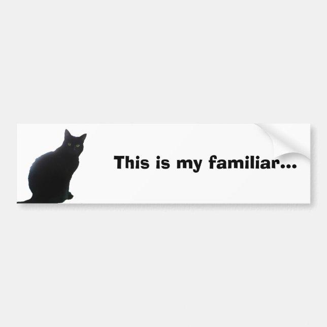 Willow, My Familiar... Bumper Sticker (Front)