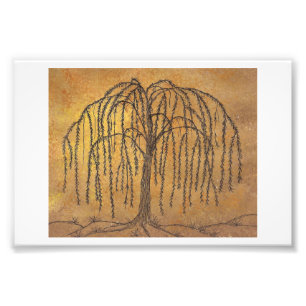 Willow Photo Print