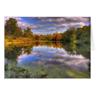 Willow Pond Cards