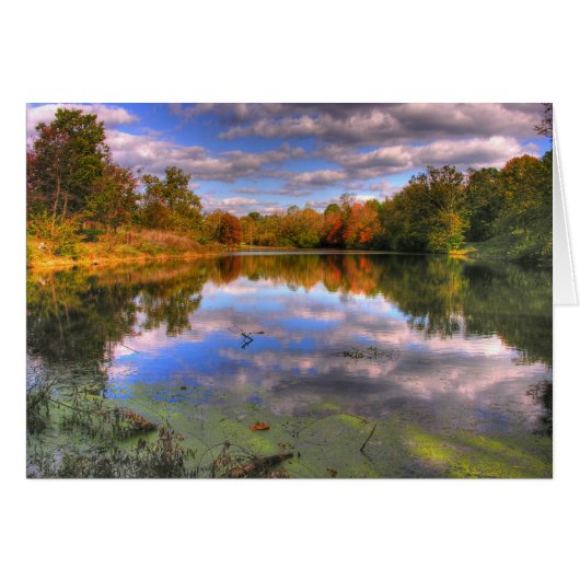 Willow Pond Cards (Front Horizontal)