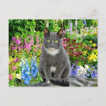 "willow" Postcard by TabbyHallDesigns at Zazzle