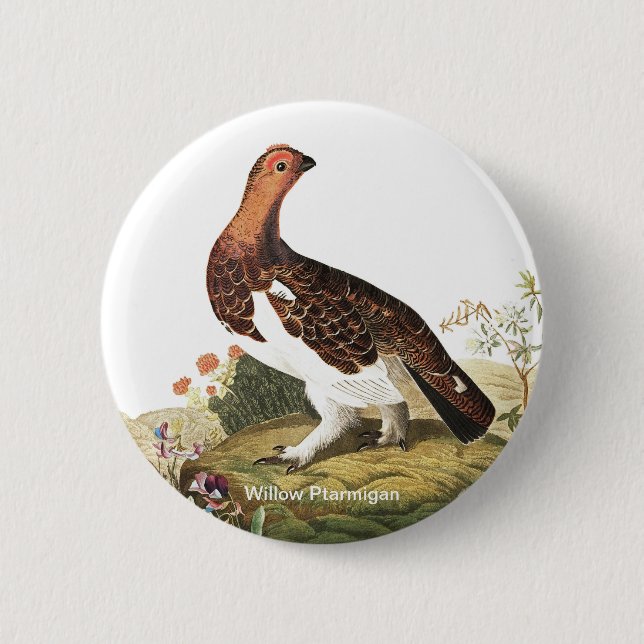 Willow Ptarmigan by John James Audubon Birder Bird Button (Front)
