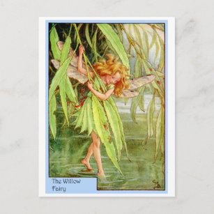 Willow Tree Fairy Postcard