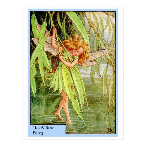 Willow Tree Fairy Postcard | Zazzle