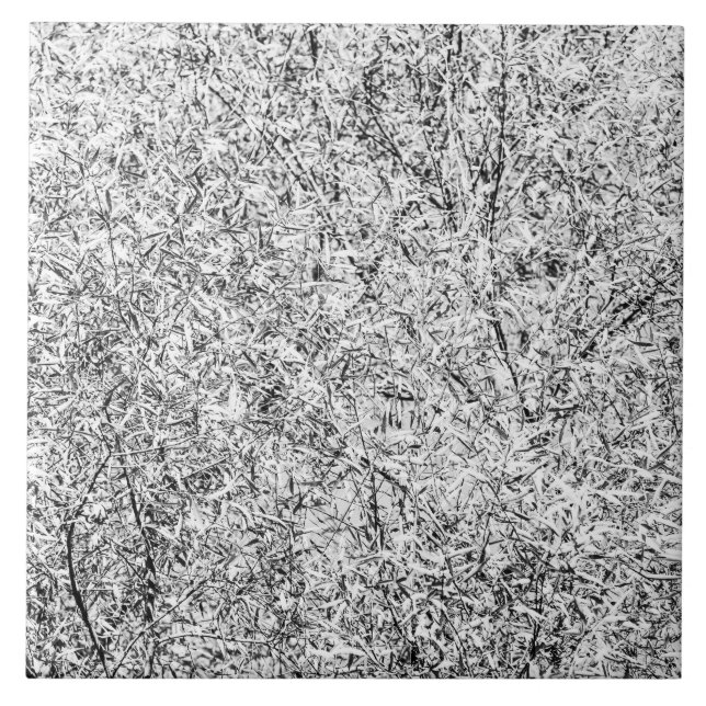 Willow tree leaves. Abstract art of Nature Ceramic Tile (Front)