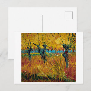 Willows at Sunset Van Gogh Postcard